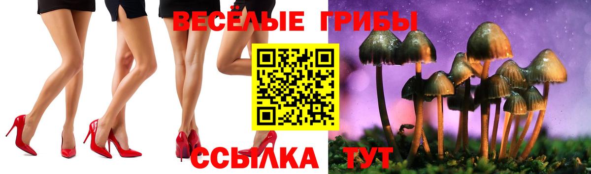 дарнет шоп  Псилоцибиновые грибы Psilocybine cubensis  Сосновый Бор  Вход с VPN  Псилоцибиновые грибы GOLDEN TEACHER 